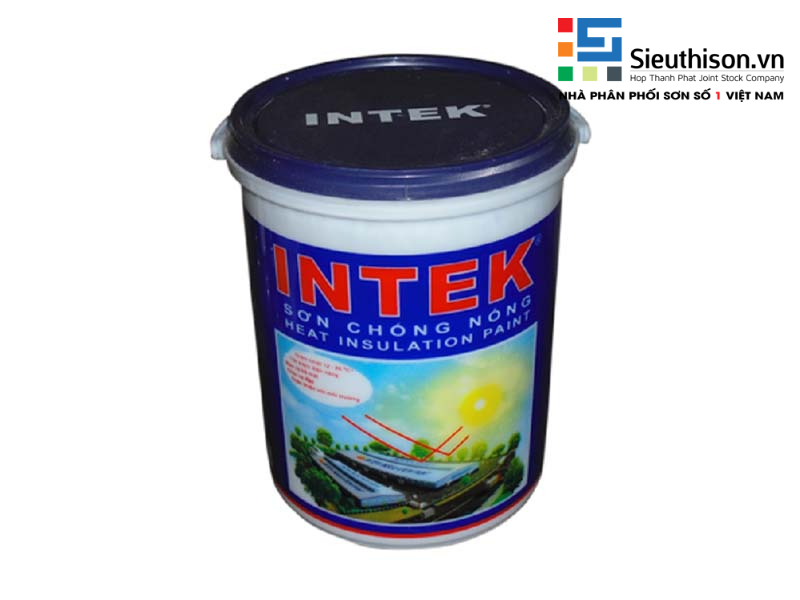 Intex