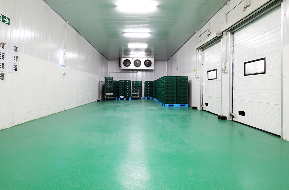 TẠI SAO PHẢI DÙNG SƠN EPOXY CHUYÊN DỤNG CHO PHÒNG LẠNH?