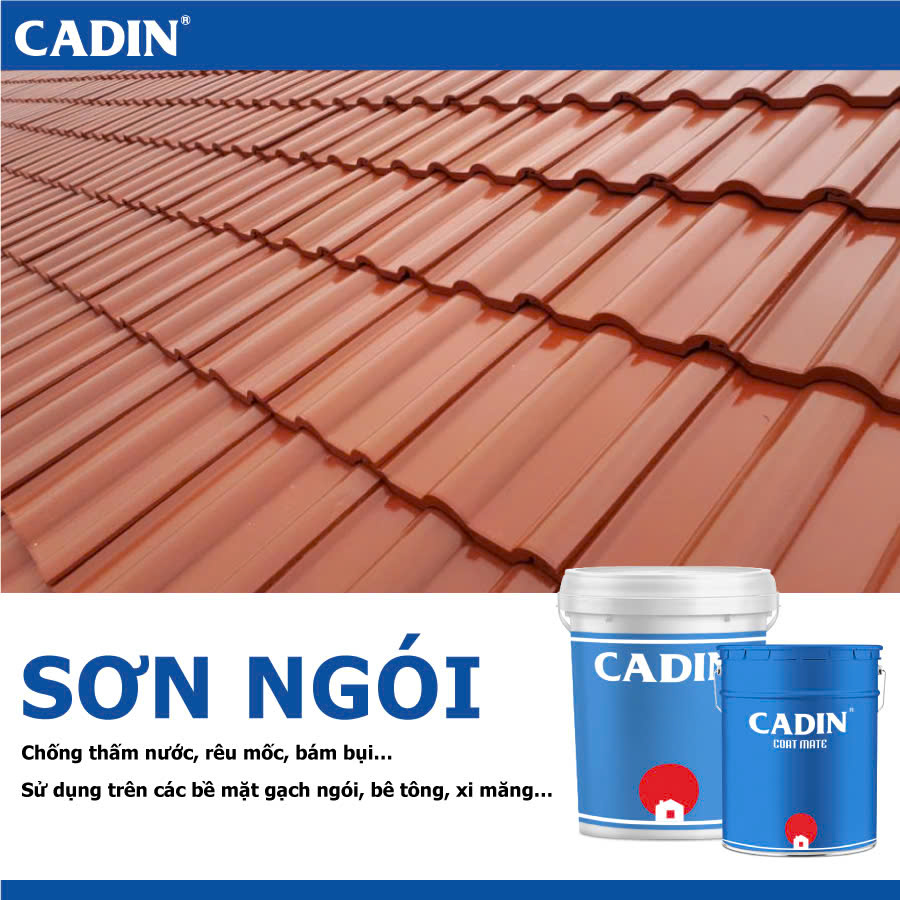 sơn ngói
